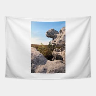 Rock Formation, Dolly Sods, West Virginia Tapestry