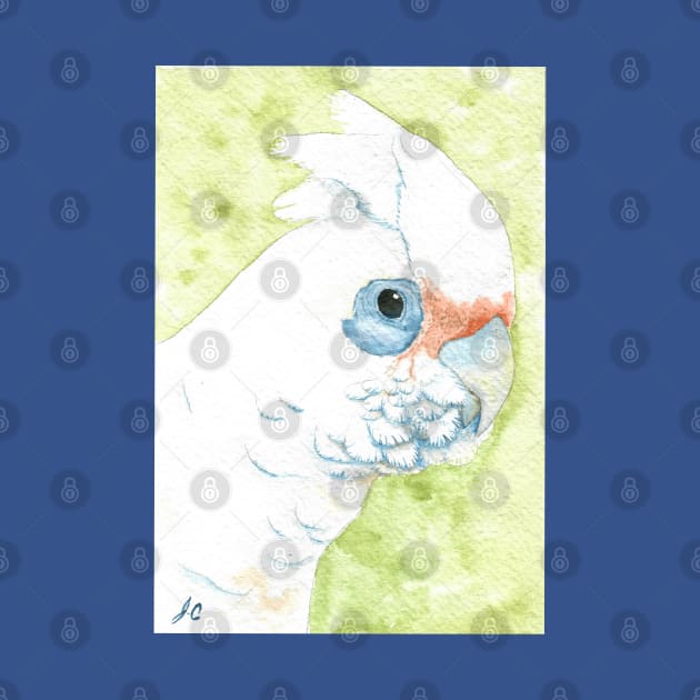 Little corella cockatoo painting - watercolor australian parrot wildlife v2 by Oranjade0122