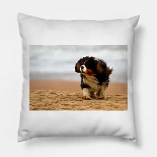 Little dog; windy beach Pillow