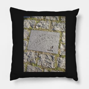 roubaix cobble of eddy merckx Pillow