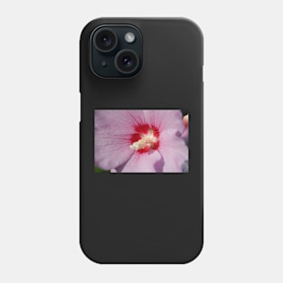 Hibiscus, purple, flower, pistil Phone Case