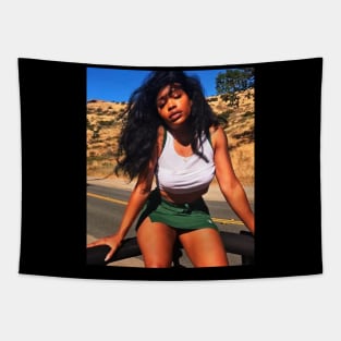 Empowering Women SZA's Message Of Strength Tapestry