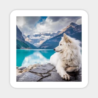 White Wolf Relaxing By A Lake Magnet