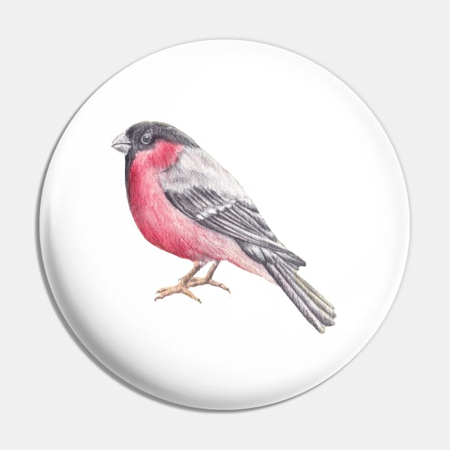 Bird. Bullfinch Pin by lisenok