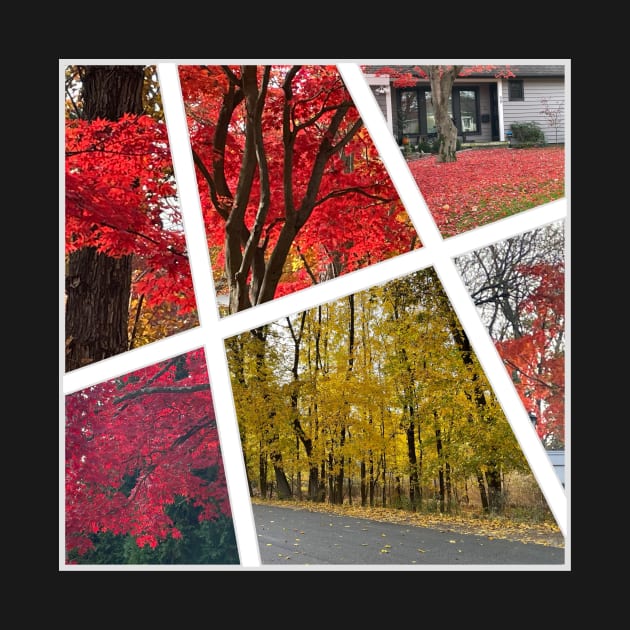 Fall Foliage Collage by Barschall