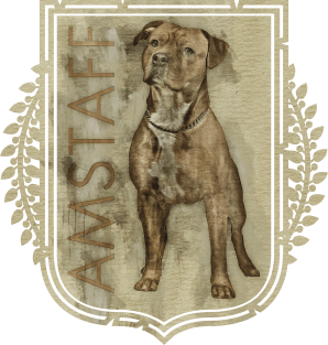 American Staffordshire Terrier - Amstaff Magnet