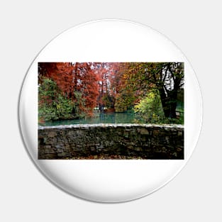 Autumn in the park Pin