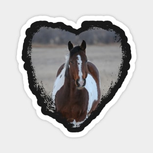 I Love Horses Magnet