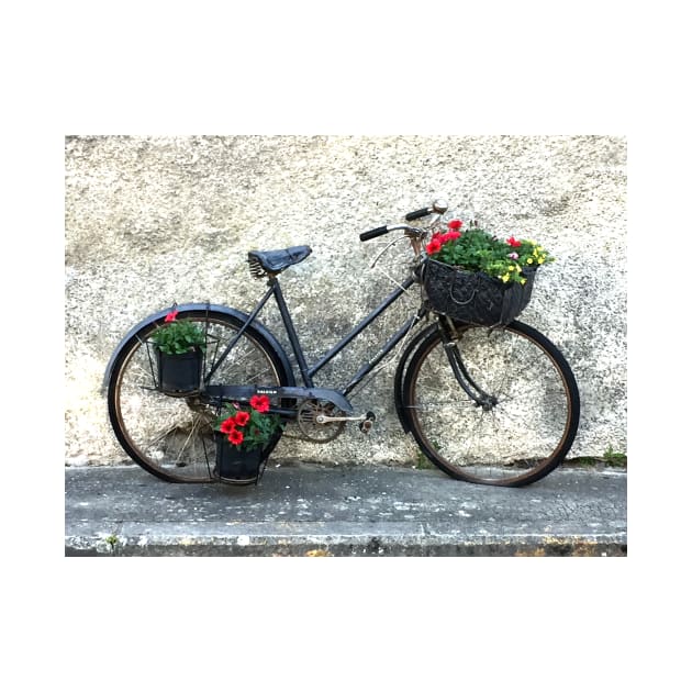 Bicycle and Flowers In France by golan22may