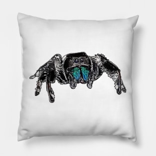 Phidippus regius Everglades male Pillow