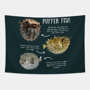 Animal Facts - Puffer Fish Tapestry