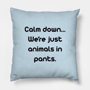 Reality Check Pillow