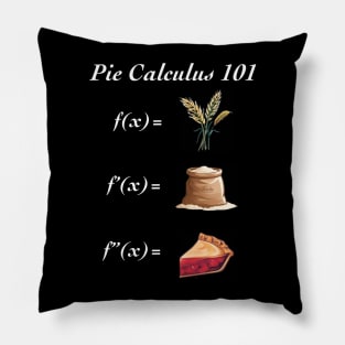 Pie Calculus Pillow