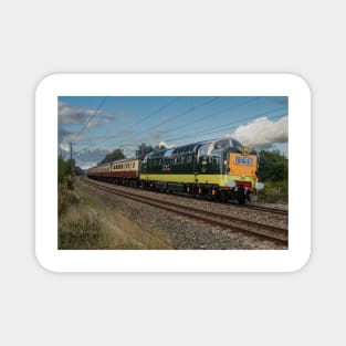 Royal Scots Grey D9000 Magnet