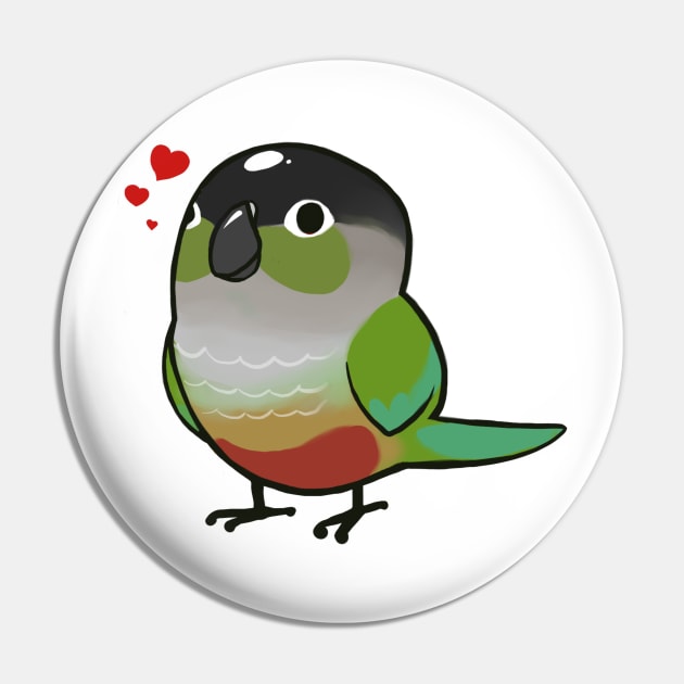 Conure 1 Pin by Shemii