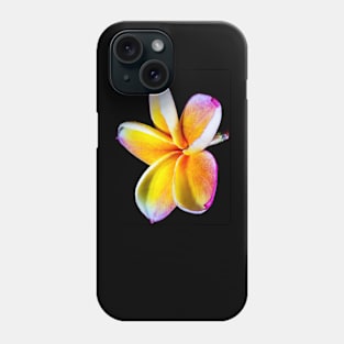 plumeria-flowers-frangipani-floral-blossom-petal-shirtyshirto-90 Phone Case