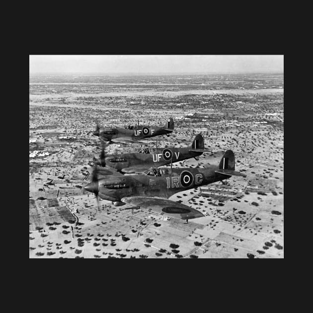 Spitfire Fighters Over Africa, 1943. Vintage Photo by historyphoto