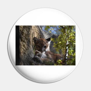 Mountain Lion Pin