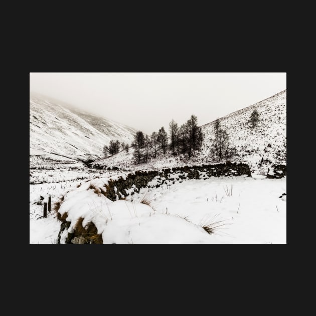 Winter In The Coquet Valley by Reg-K-Atkinson