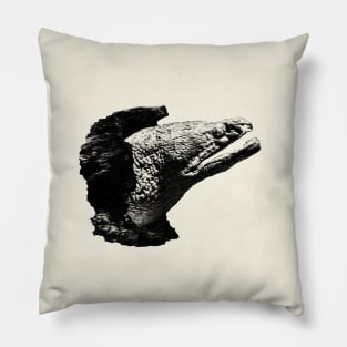 Moray Pillow