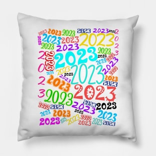 2023 Pillow