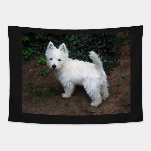 Westie Tapestry by princess-pirate