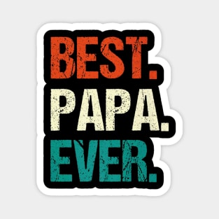 Vintage Best Papa Ever Father Day Magnet