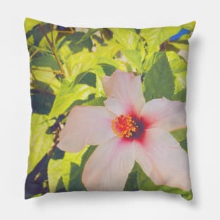 Pretty Pink Flower Photography design with blue sky nature lovers Pillow