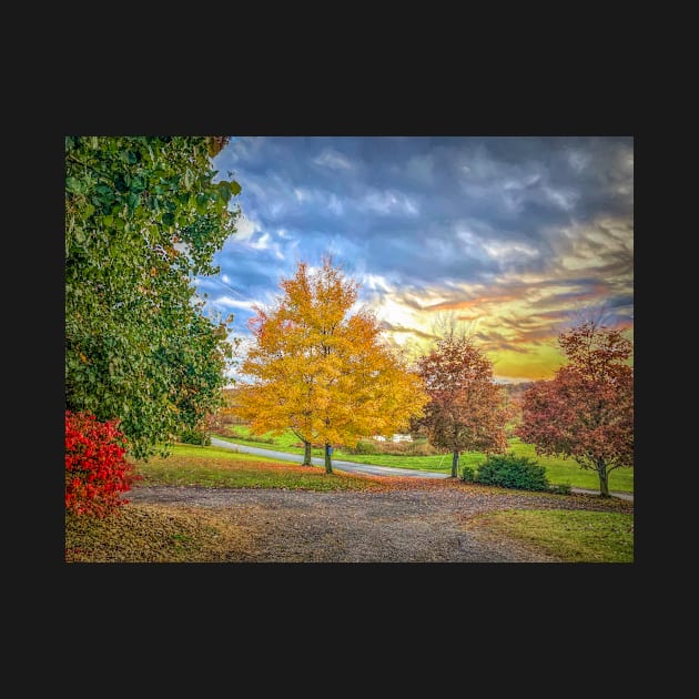 Autumn in Pennsylvania by Debra Martz