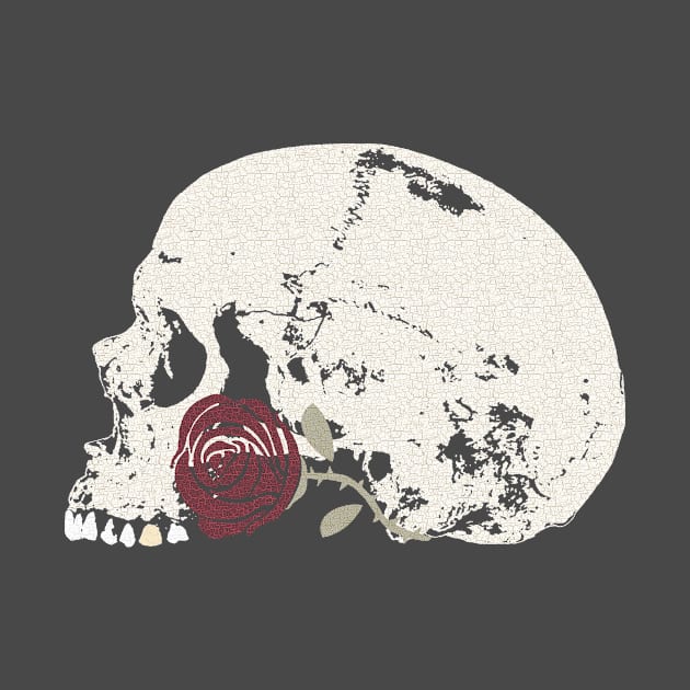 The Skull and the Red Rose by RawSunArt