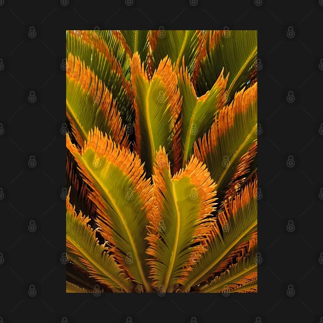 Palm Tree Leaves by SPACE ART & NATURE SHIRTS 