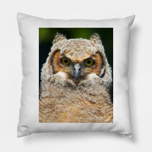 Great Horned owlet Pillow