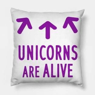 Unicorn Girls Women Girls Einhron Ehorn Pillow