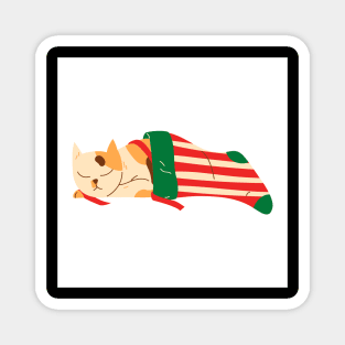 Cat Sleeping in Christmas Stocking Magnet