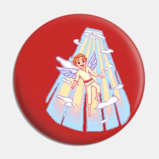 Come fly with me Pin