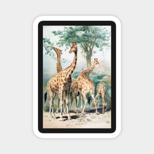 Victorian Giraffe Illustration Magnet