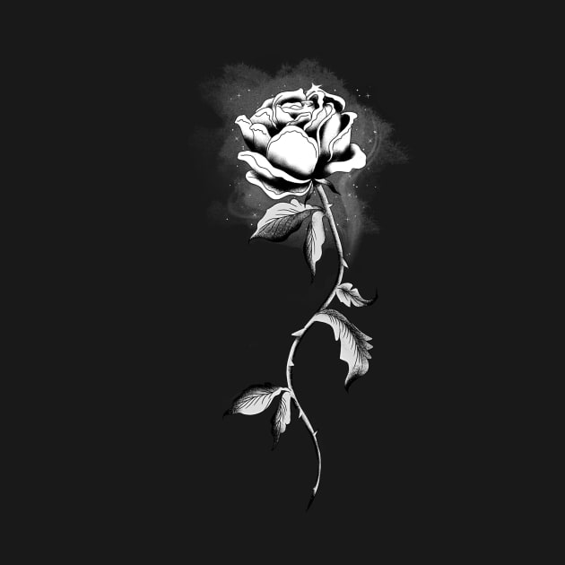 Single Black and White Rose by Calmavibes