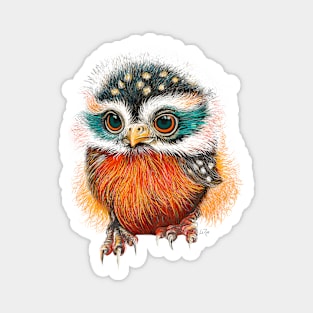 Baby Owl Magnet