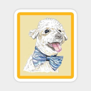 Rescue poodle Magnet