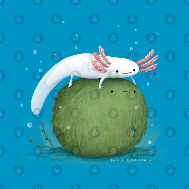 Discover Axolotl on a Mossball - Axolotl - T-Shirt