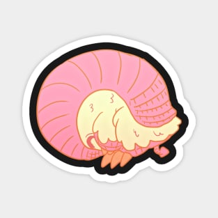 Pink Fairy Armadillo solo 2 Magnet