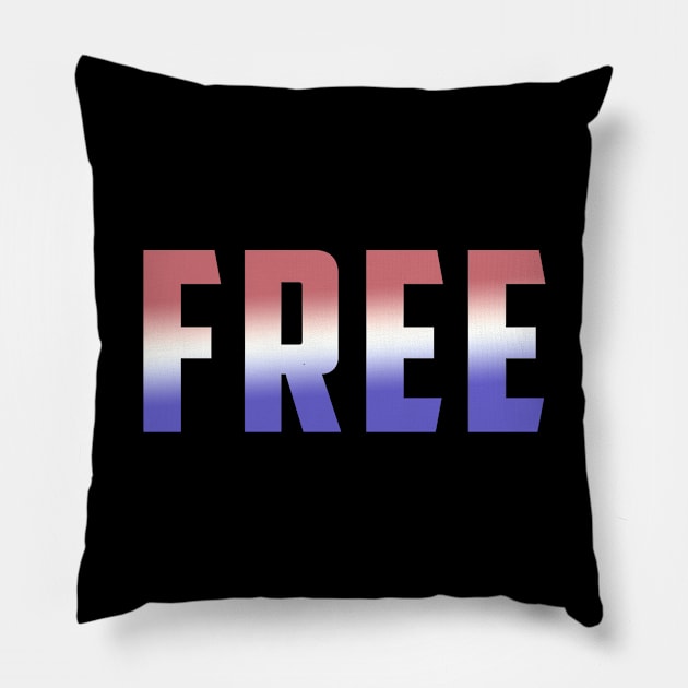 4th of July Independence Day FREEdom Romans 8:2 Christian Bible Verse Pillow by Terry With The Word