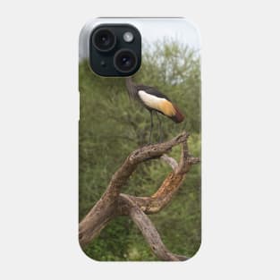 Grey Crowned Crane Phone Case