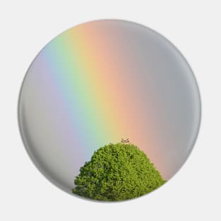 Rainbow / Swiss Artwork Photography Pin