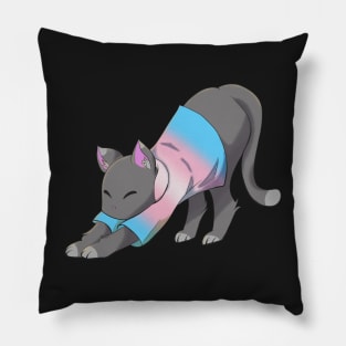 Trans cat stretching Pillow