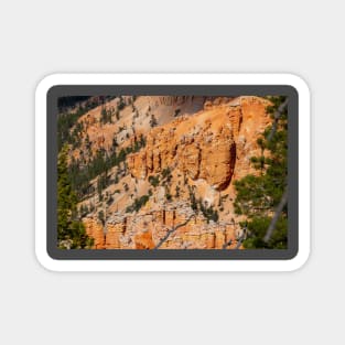 Bryce Canyon View 7 Magnet