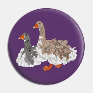 Sebastopol Geese - no background Pin