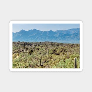 Saguaro National Park Magnet