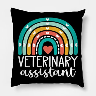 Veterinary Assistant Rainbow Pillow