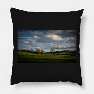 Wylam Rural Landscape Scene Pillow